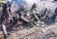 صورة سكيكدة /تفكيك مفحمة غير شرعية داخل الملك الغابي بأولاد أحبابة