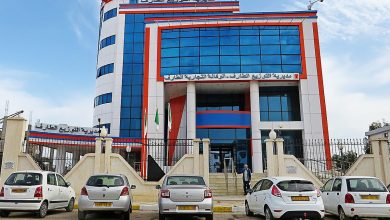 صورة الطارف / مشاريع إستراتيجية لدعم تزويد محطات المياه بالطاقة الكهربائية و تحسين الخدمة العمومية