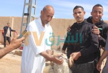صورة اولاد جلال/متابعة وتأطير عملية بيع المواشي المستوردة ببلدية الدوسن