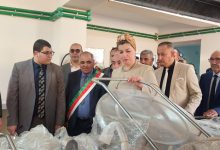 صورة تبسة/ ملخص زيارة وزيرة التضامن الوطني والأسرة وقضايا المرأة، الدكتورة صورية مولوجي